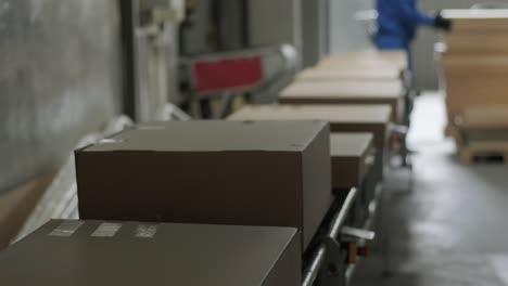 almacén postal. los paquetes se mueven a lo largo de una cinta transportadora en el departamento de clasificación posterior. cinta de carga, el trabajador postal prepara los paquetes para su envío. entrega de pedidos en línea.