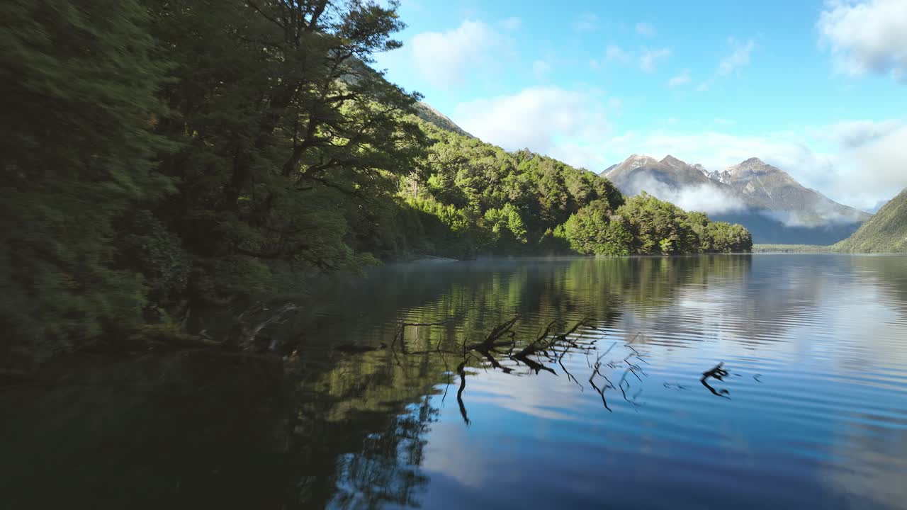 bosque de árboles verdes en la orilla del lago gunn en nueva zelanda, aguas tranquilas