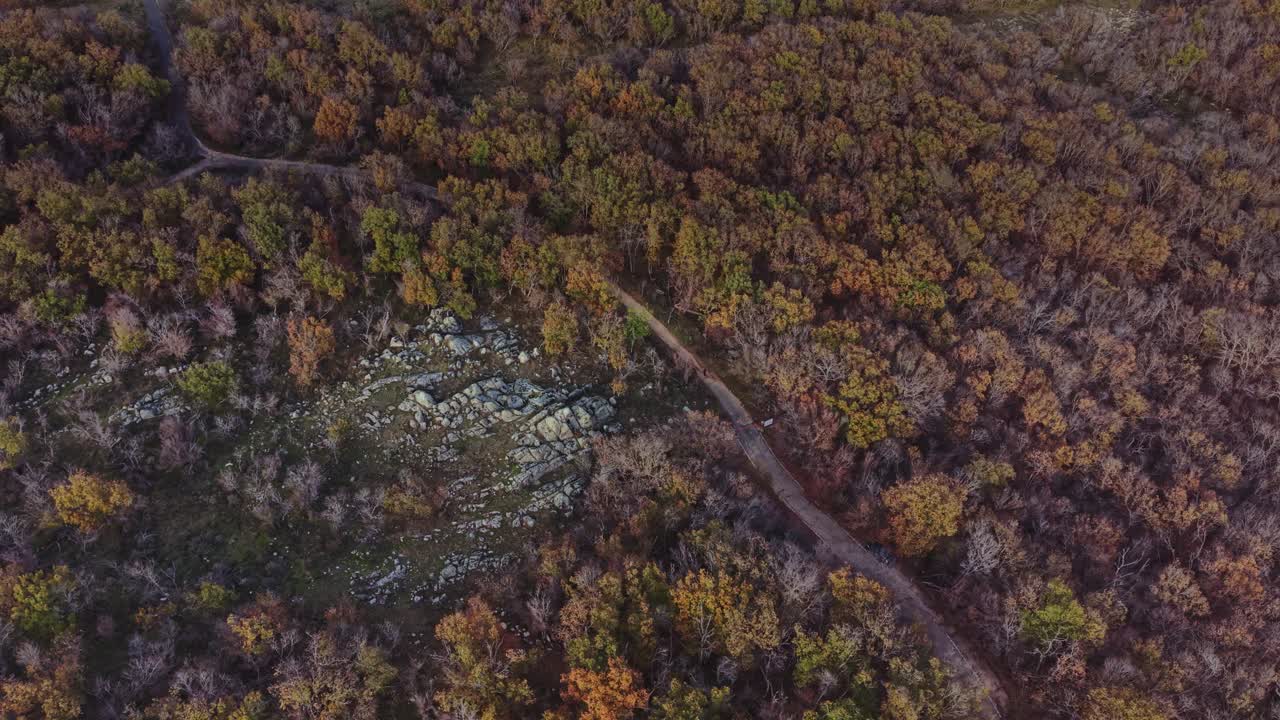 Scenic aerial view of colorful autumn forest with stone paths