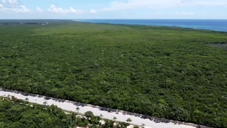 Selva-De-Bosque-Verde-En-Tulum-Mexico-Con-Un-Camino-Vacío-A-La-Costa-De-La-Playa-En-Un-Día-Soleado-De-Verano,-Aéreo