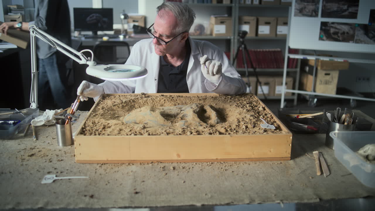 paleontólogo examinando el fósil