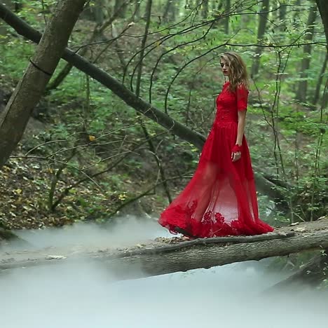 woman in a misty forest