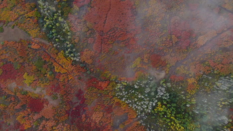 unique birds eye view foggy cloudy colorful colorado aerial cinematic drone san juans range ridgway mount sniffels wilderness million dollar highway dallas range autumn fall forward motion