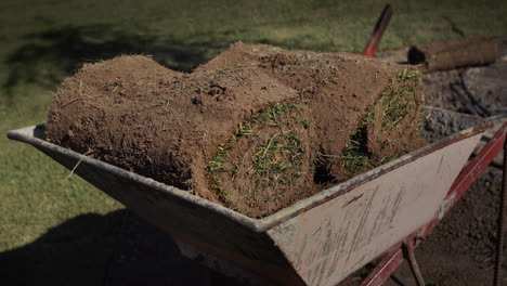 gardener's inventory: wheelbarrow with lawn rolls. landscaping works on the territory of the house