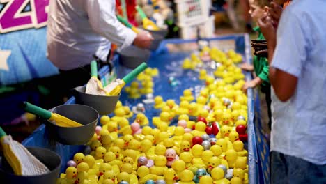 player scooping ducks at a carnival game