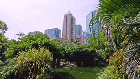 lush greenery surrounds a tranquil urban pond