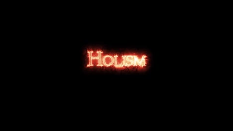 holism written with fire. loop