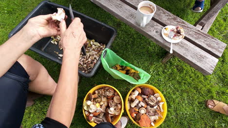 a point of view shot of an elderly lady chopping the harvested mushrooms