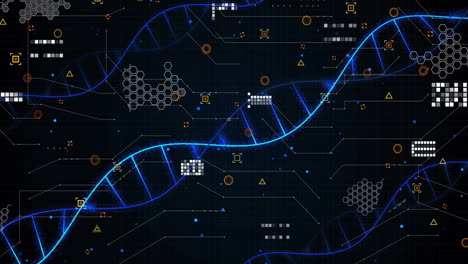 animation of dna network of connections and dna strands on black background