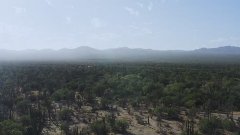 墨西哥巴哈加州一個塵土飛揚的沙漠的空中風景