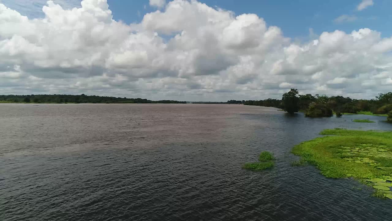 el río amazonas de brasil está repleto de exuberantes aguas
