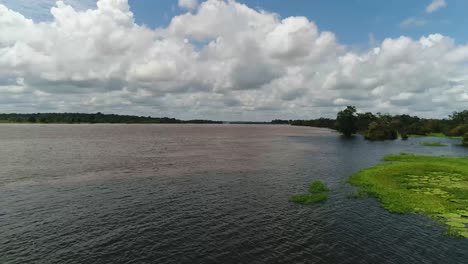 Brazil's-Amazon-River-is-lined-with-lush-aquatic