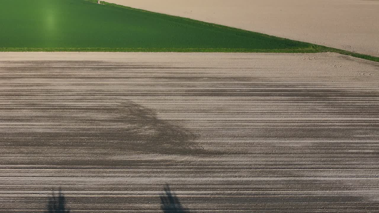Rural farmland aerial with visible tree shadows at golden hour, showing geometric divisions of plowed, bare, and green cultivated plots, highlighting the contrast of agricultural land textures