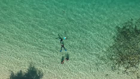 scuba divers in the water viewed from above