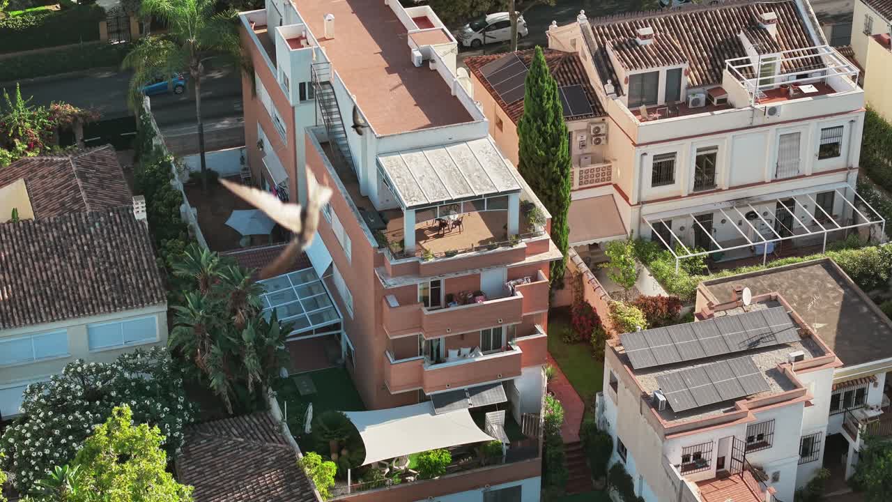 Aerial view of Spanish rooftop garden with birds and vibrant atmosphere
