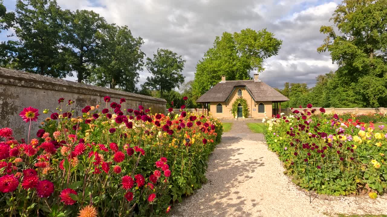 A steady camera moves along a gravel path lined with vibrant dahlia flowers in a formal garden, leading toward a stone house under bright daylight