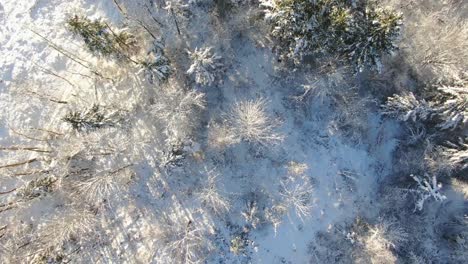 Ariel-footage-of-snow-covered-landscapes