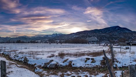 cinemagraph de gansos de canadá volando sobre un prado nevado en invierno al atardecer - los pájaros están animados pero todo lo demás está estático