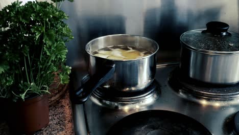 boiling potatoes for a dinner with parsley in the scene