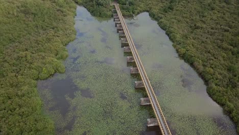 aerial drone view of the railroad bridge in the netherlands, europe