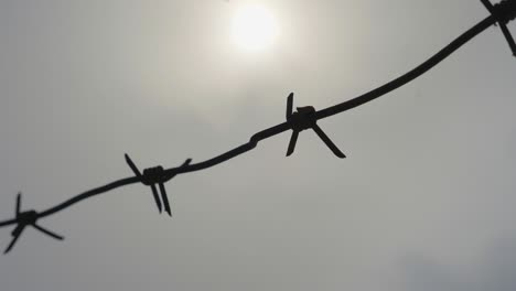 barbed wire on a gray sky background