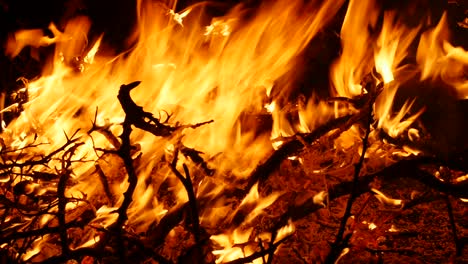 cerca del fuego.