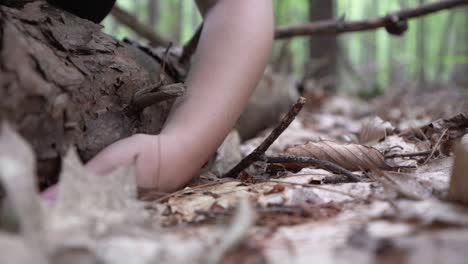 person reaching underneath a big fallen log searching and rummaging