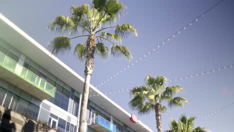 modern building with palm trees and string lights under a blue sky
