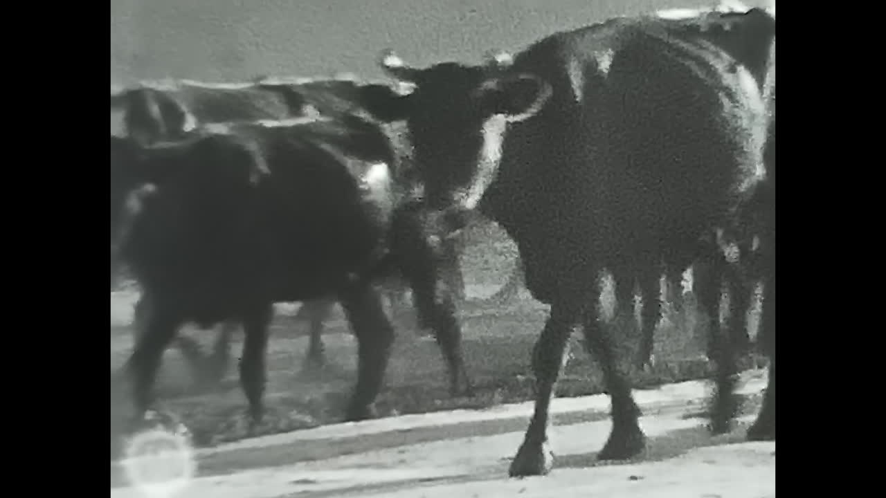 Men Standing Together, Soviet Union Archive Image of Soviet People. CIRCA USSR 1980s: A historic archive depicting men standing together, representing the people of the Soviet Union during the era of communism and socialism in the USSR.