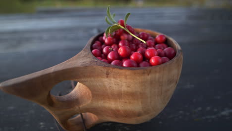 lingonberries in wooden cup in countryside, close up panning shot