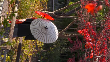 vista de trás de um casal vestido de kimono japonês com guarda-chuva - vertical