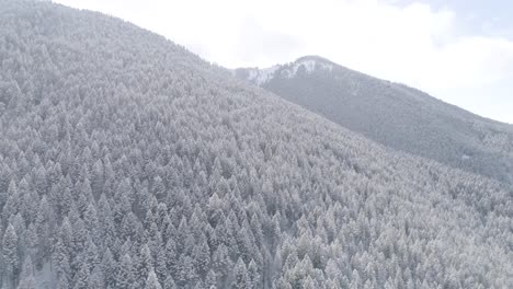 bozeman montana aerial of snowy forest on mountain tops