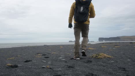 the famous black beach of iceland