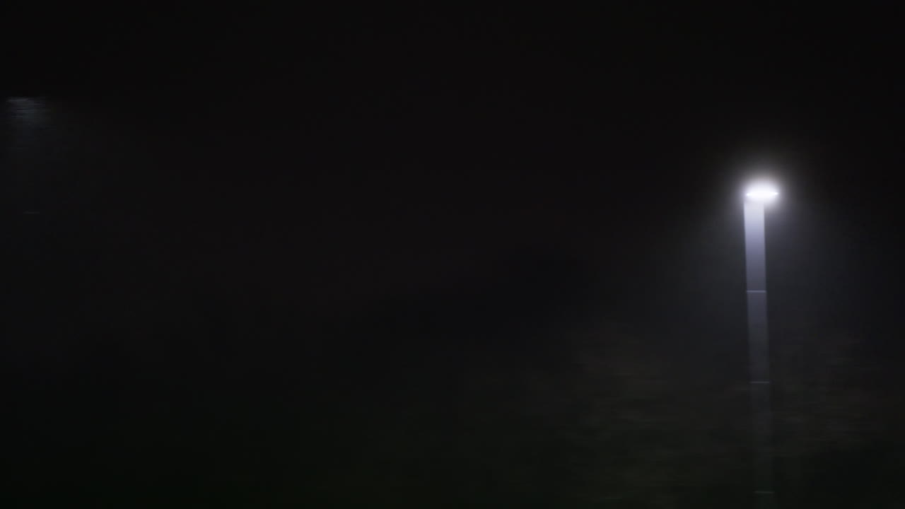 Lampioni che sfilano attraverso la nebbia fitta di notte