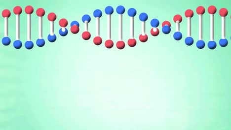 Animation-of-rotating-3d-model-dna-strand,-on-pale-green-background