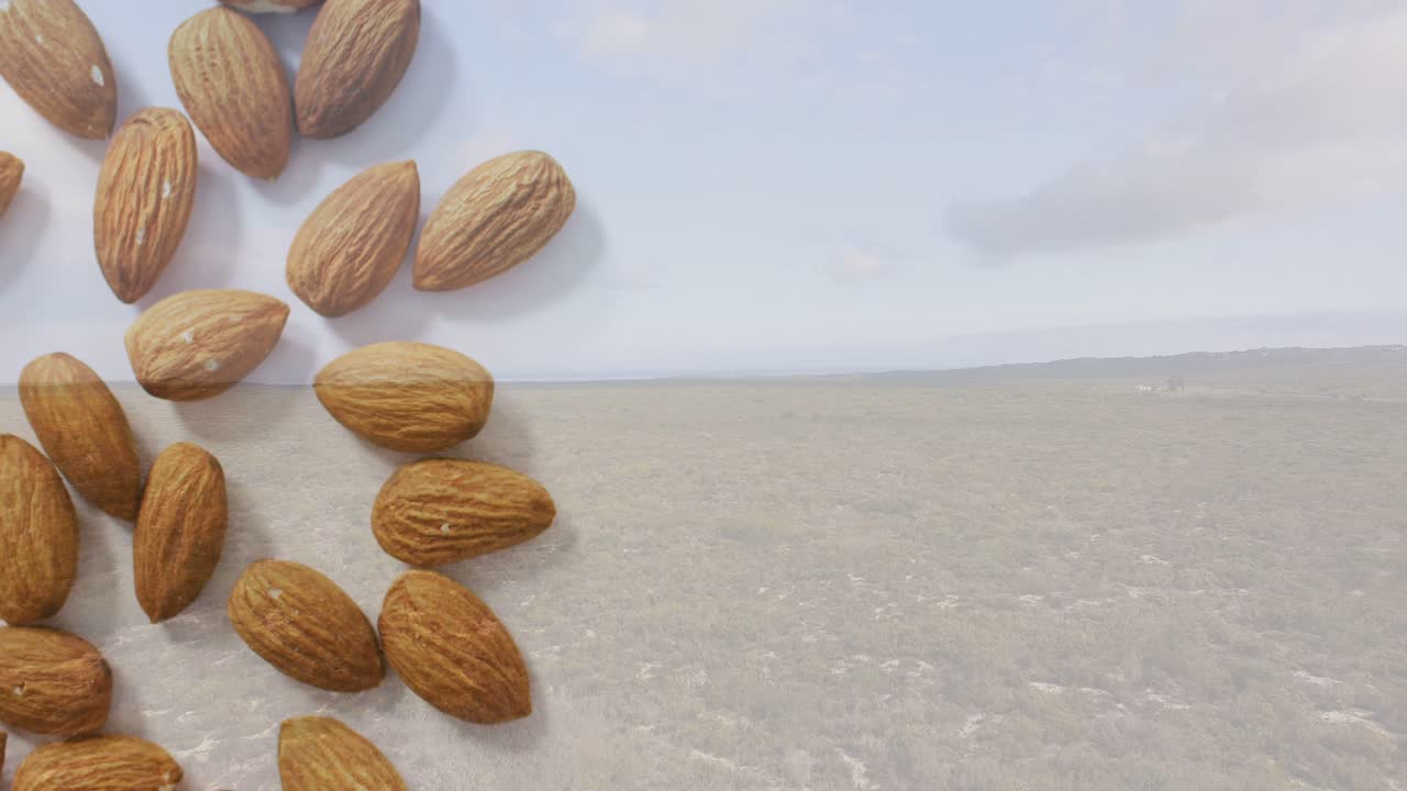 Vidéo Verticale : Amandes Entières Apparaissant par le Coin Supérieur Gauche, Se Déployant le Long du Côté Gauche sur des Dunes Broussailleuses, avec Espace pour le Texte.