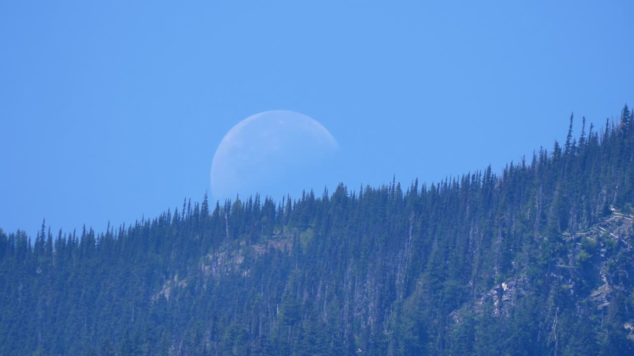 숲이 우거진 산 위의 파란 하늘에 보름달