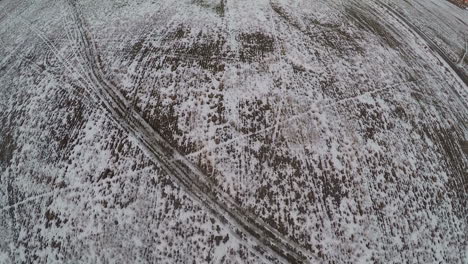 Volando-Sobre-Un-Vasto-Campo-Nevado-Rusia