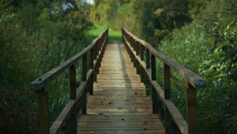 Rustic wooden bridge surrounded by dense green foliage in nature