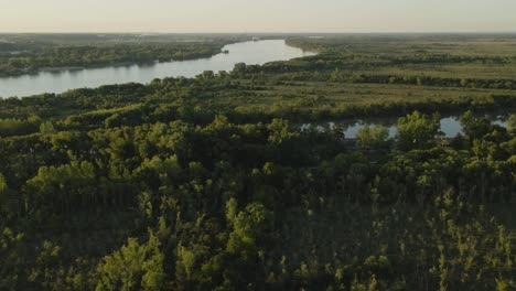 Incline-Hacia-Arriba-Revelando-Grandes-Campos-Verdes-De-Zarate-Y-área-Forestal-Y-El-Río-Paraná-A-La-Hora-Dorada,-Entre-Rios,-Argentina