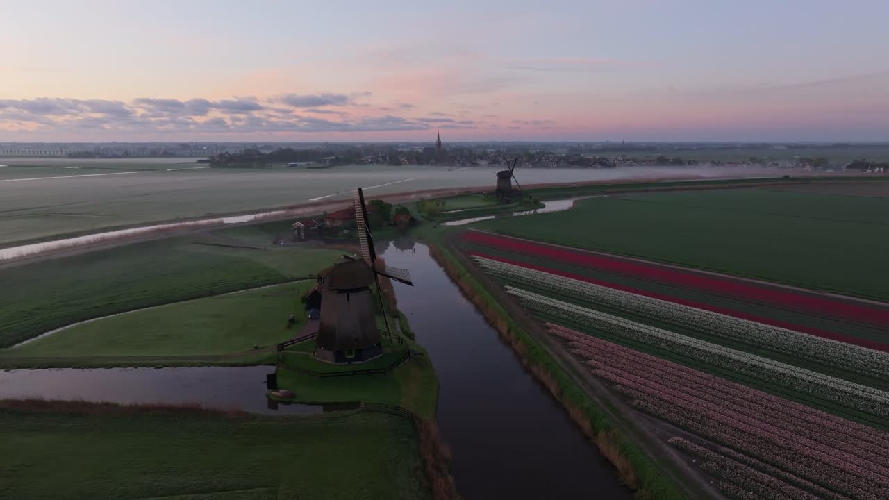 Veduta aerea di campi di tulipani colorati con chiesa storica e mulini a vento, Schermerhorn