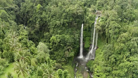 toma de seguimiento de retroceso lento de una cascada alta y exuberante de la jungla