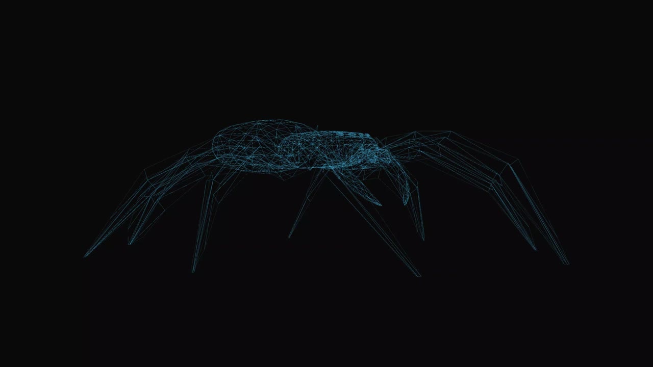 Spider wireframe scheme. 3d render with blue grid lines. Loop rotation on black background.