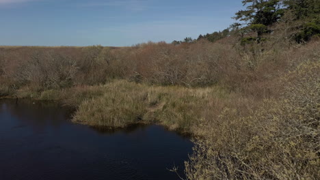 Aerial-Drone-Backwards-Over-Bridge-And-Little-Stream-In-Oregon---slow-motion