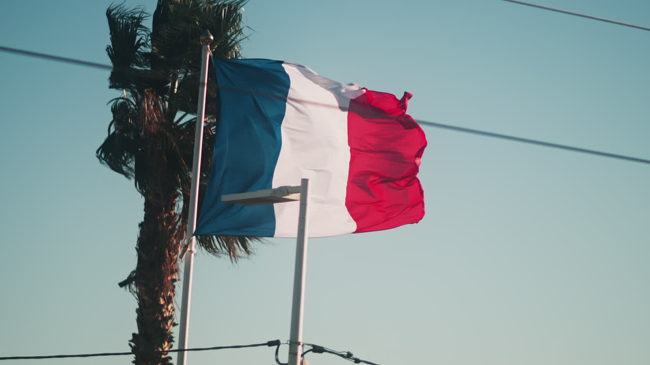 Close up of the French flag waving with a palm tree on the background