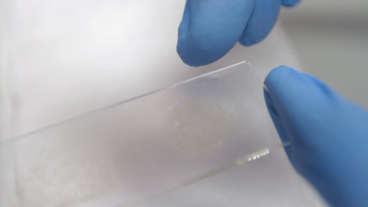 현미경 슬라이드 cu 준비