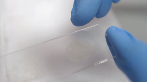 preparación de portaobjetos de microscopio cu