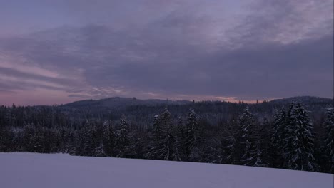 Beautiful-winter-time-lapse-of-pine-tree-forest-covered-in-snow