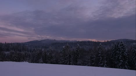 beautiful winter time-lapse of pine tree forest covered in snow