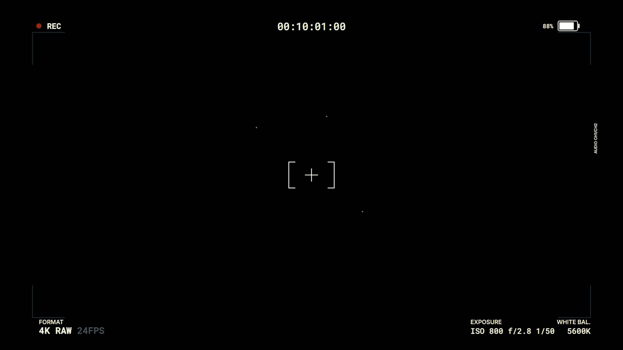 Digital Camera Viewfinder Overlay with Recording Interface